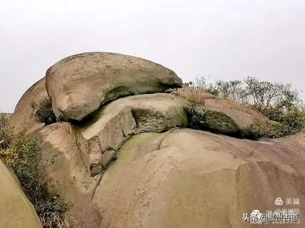 大羅山有處“二師兄”奇石，惟妙惟肖，你可找到過？