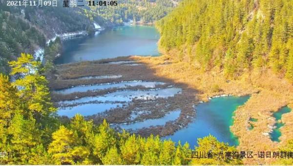四川第三期紅葉觀賞指數釋出!不出家門,帶你雲遊這些動人風景 四川第三期紅葉觀賞指數釋出!不出家門,帶你雲遊這些動人風景