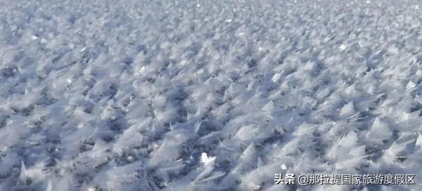 大雪｜那拉提的雪景讓你心動了嗎？