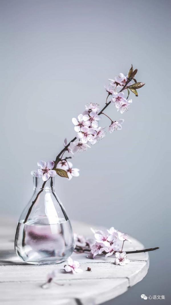 中秋佳節故事多 中秋佳節故事多