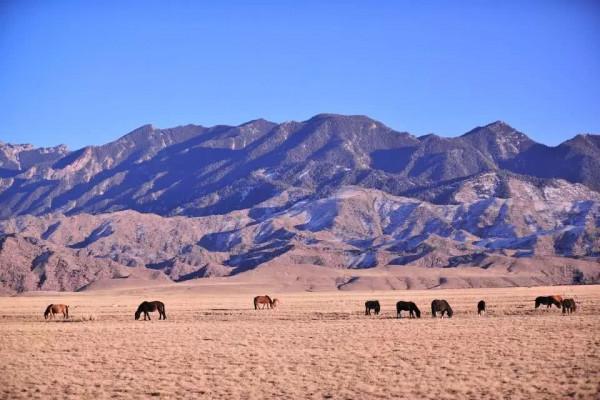 賀蘭山煤層自燃300多年，每年損失10億，為何自燃且撲不滅？