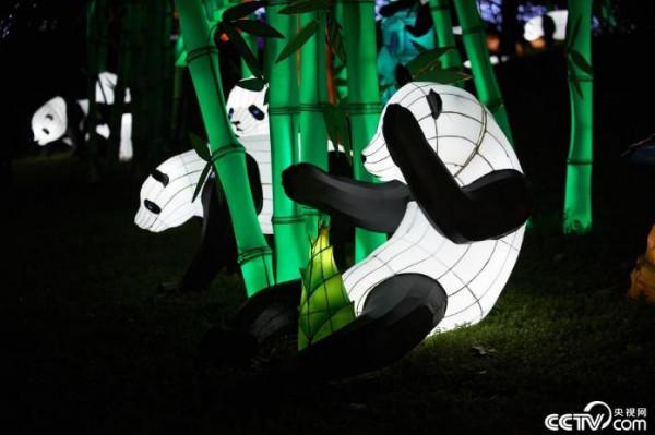 中國花燈點亮法國圖盧茲 中國花燈點亮法國圖盧茲