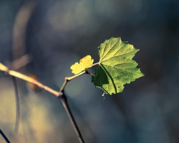 心理：男人的層次都寫在“臉上”，這2種長相的男人往往很高階