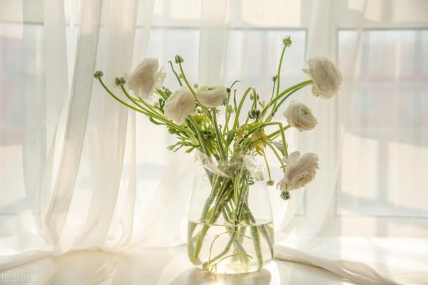 紗簾怎麼選?別聽商家“誇誇其談”,學會這4招,你就是內行 紗簾怎麼選?別聽商家“誇誇其談”,學會這4招,你就是內行