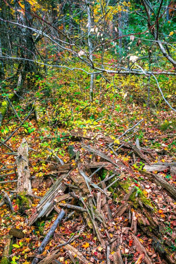 《盜墓筆記》的青銅門真的存在？據傳長白山就有，需爬1442級天梯