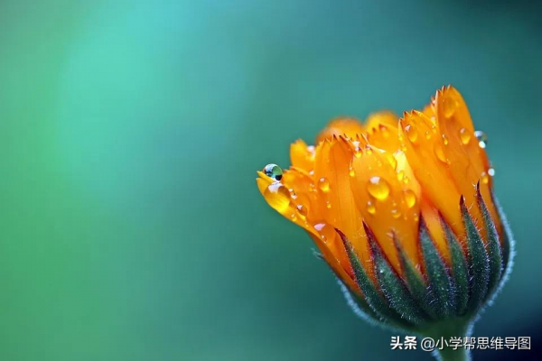 描寫家鄉風景的排比句、擬人句、比喻句、誇張句,用在作文剛剛好 描寫家鄉風景的排比句、擬人句、比喻句、誇張句,用在作文剛剛好