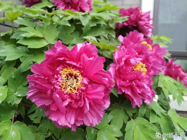 五仁餡的月餅太難吃,不如4種鮮花餡,同意的舉手 五仁餡的月餅太難吃,不如4種鮮花餡,同意的舉手