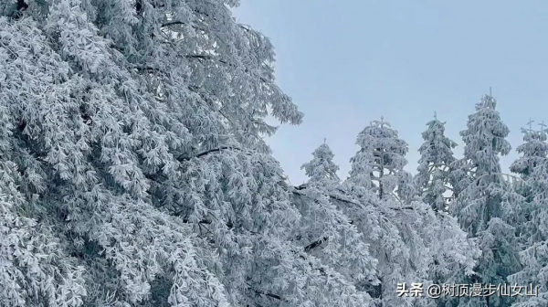 冬遊川渝，被冬季的仙女山驚豔了