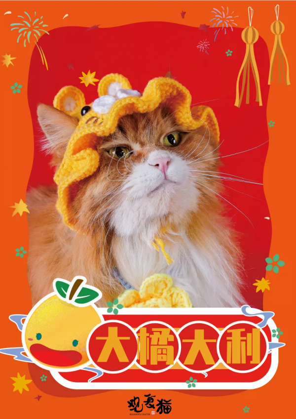 觀復貓拜大年，嗷嗚