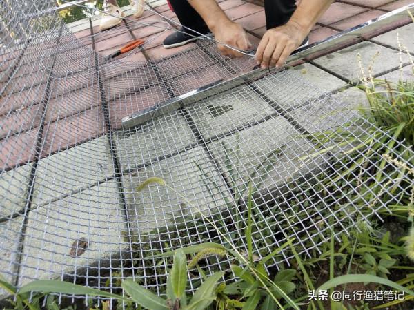 釣友手機掉水裡,魚塘老闆兩笊籬撈了上來,要價1000元 釣友手機掉水裡,魚塘老闆兩笊籬撈了上來,要價1000元