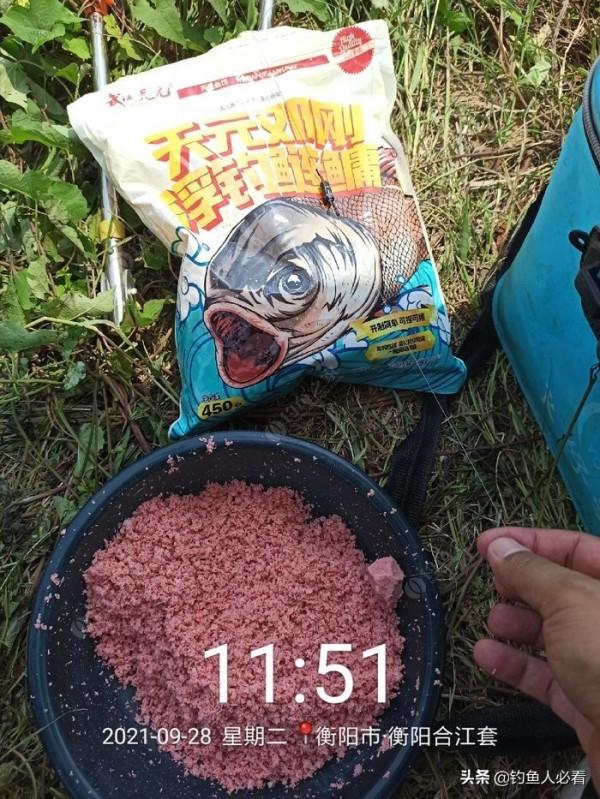 湘江垂釣鰱鱅與小結 湘江垂釣鰱鱅與小結