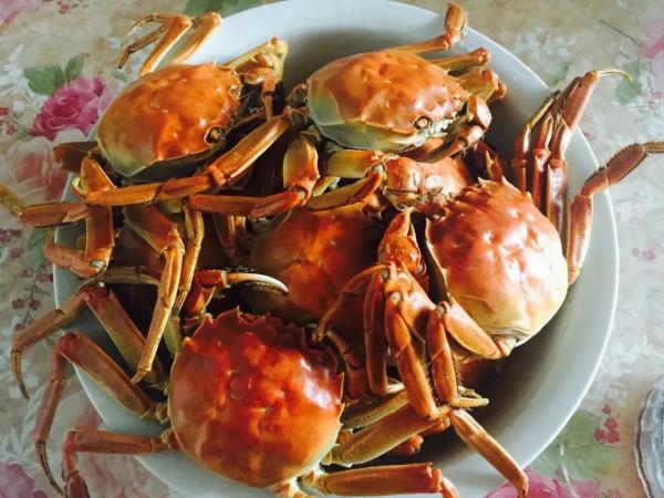 美食家常菜 美食家常菜