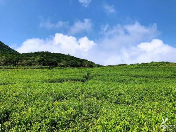野遊在大嵛山島——中國十大最美海島 野遊在大嵛山島——中國十大最美海島