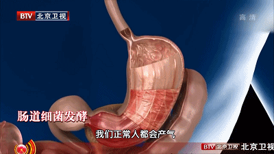 明日雨水，兩類菜要常吃！健脾化溼，潤腸通便，在家就能種