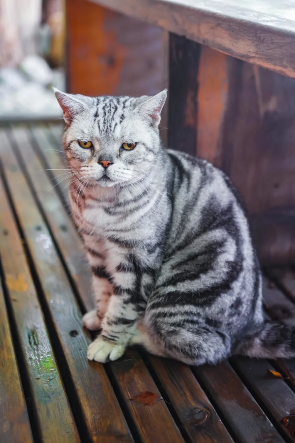 天團連連看，你的眼睛還好嗎？