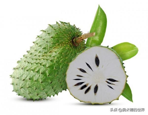 《百年孤獨》的故鄉&OpenCurlyDoubleQuote;哥倫比亞&rdquo;的20個冷知識，你知道幾個？