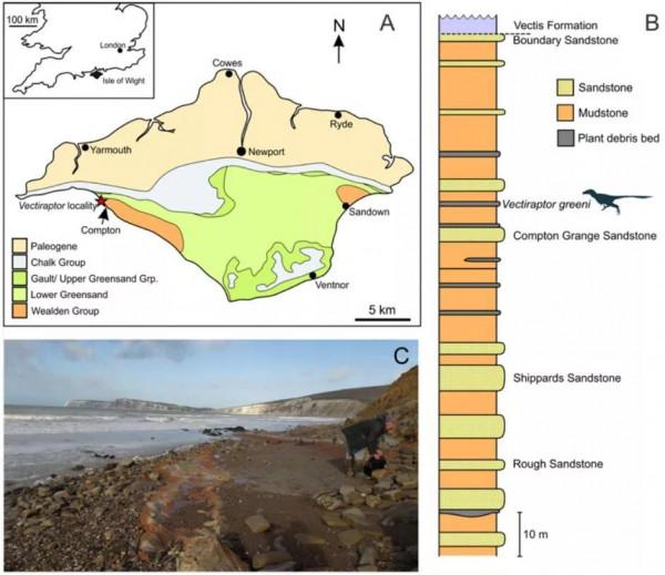 英國新發現能像豹子一樣爬樹的似鳥恐龍