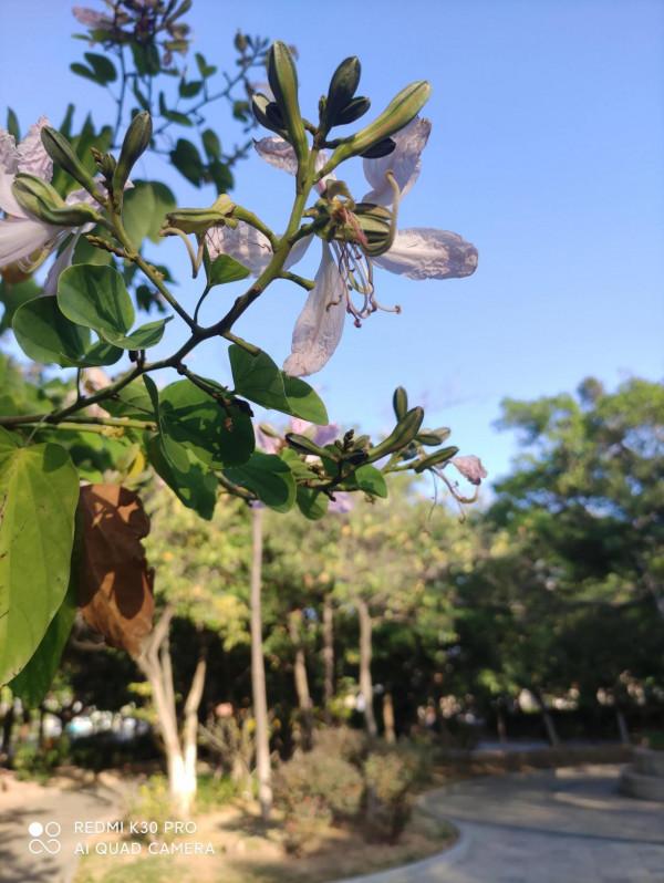 孩子不愛上學怎麼辦 孩子不愛上學怎麼辦