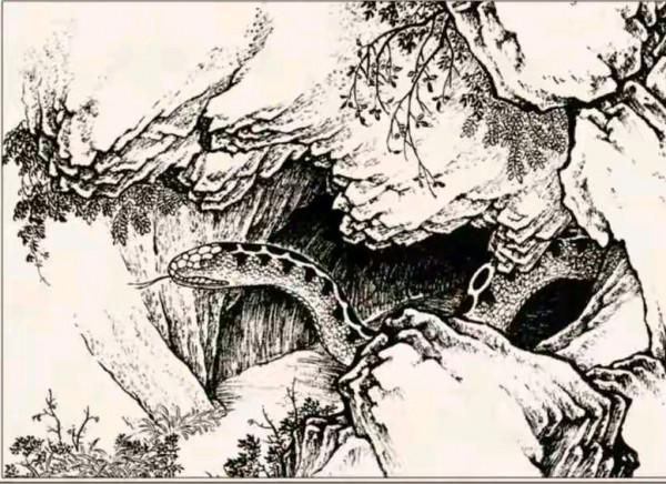 民間故事：村民打井遇蛇窩，遭蛇王報復，老人引100多隻蛇雕滅蛇