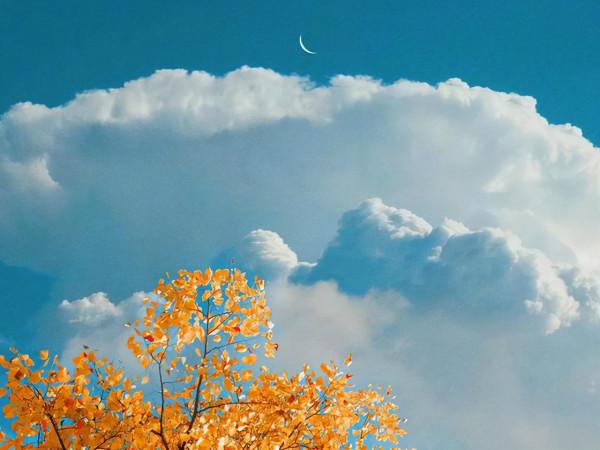 人生多無常，心安即自在（醒悟）