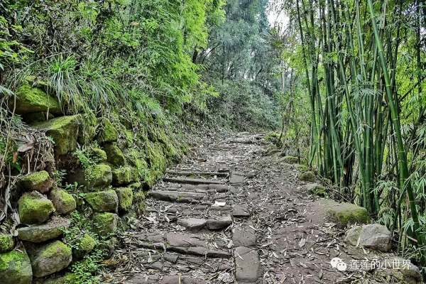 尋古蹟的蓮蓮:神秘洞穴 | 古郪國消逝後的郪江崖墓群 尋古蹟的蓮蓮:神秘洞穴 | 古郪國消逝後的郪江崖墓群