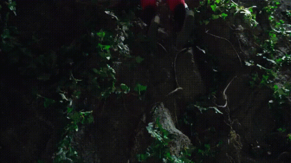 嘉南傳變成奇蹟暖暖？鞠婧禕還是萬年不變精修妝容，和劇目都不配