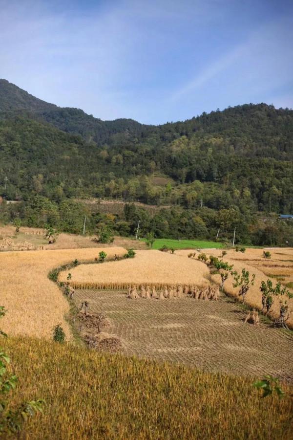 濃濃鄉村情，不捨三農人