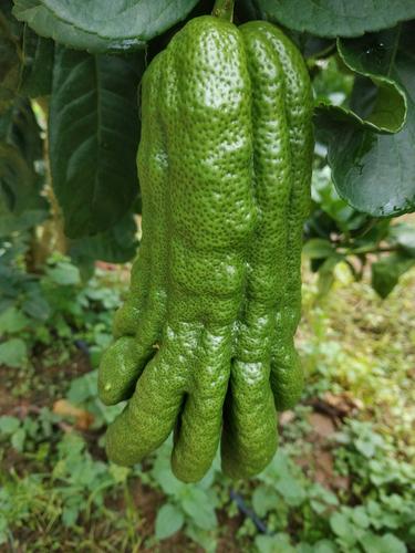 有些照片看似普通,卻讓人感到恐懼 有些照片看似普通,卻讓人感到恐懼