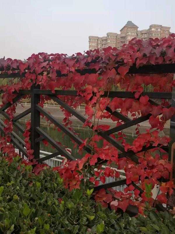 兩 岸 (詩歌外九首)北京 張新貴 兩 岸 (詩歌外九首)北京 張新貴