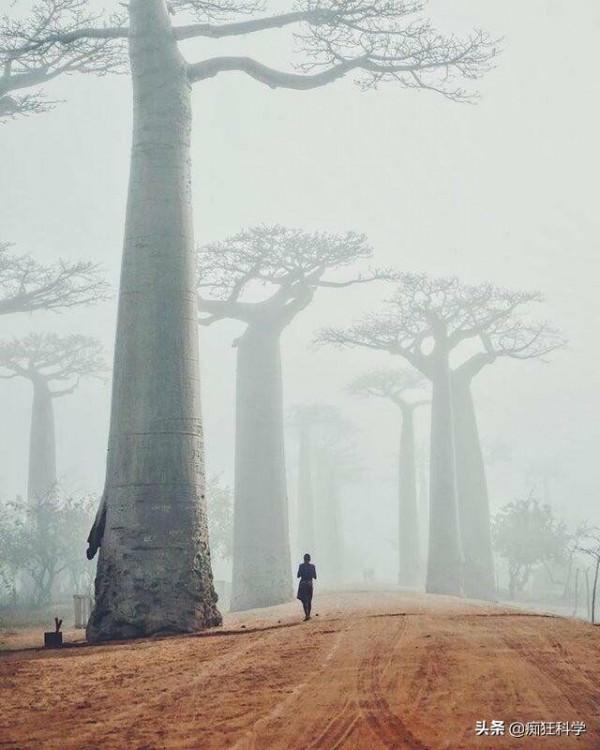 17個猶如來到外星球的真實場景，最後那個就是真實的賽博朋克？