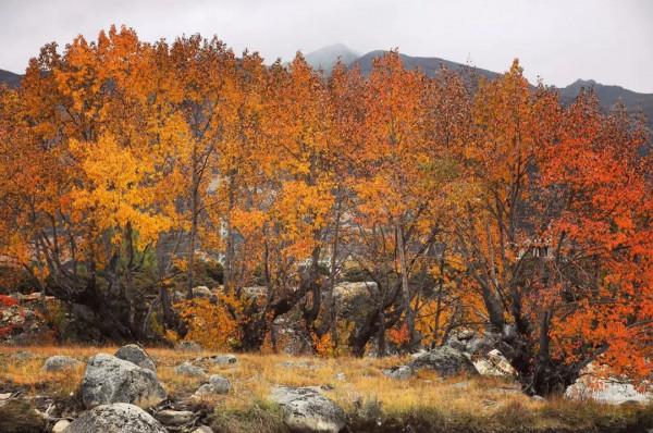 什麼時候去稻城最好？這樣走超級爽