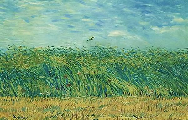 《麥田裡的守望者》:書中的守望者是誰?讀者:這個守望者叫善良 《麥田裡的守望者》:書中的守望者是誰?讀者:這個守望者叫善良