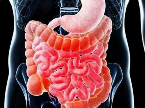 在日常生活中應該如何有效預防腸癌？建議收藏檢視