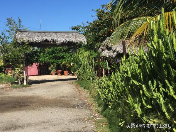 憶舊遊之古巴（三）