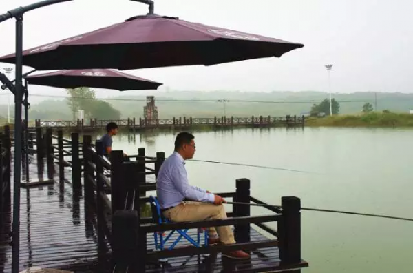 漫步鄉村，慢生活······