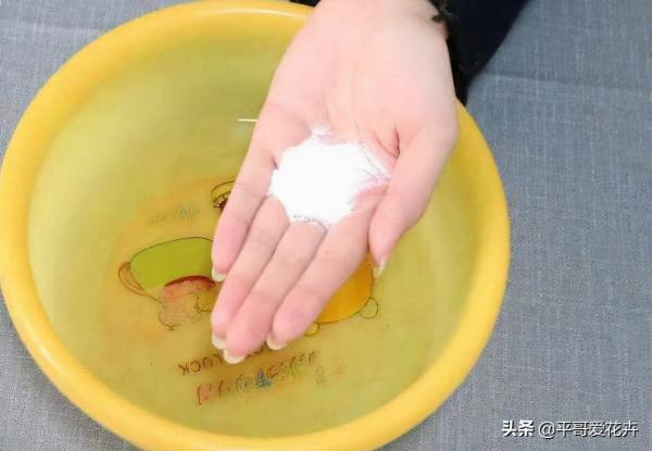 在家自制3種“澆花水”，除病菌、驅蟲子、防爛根，效果特別好