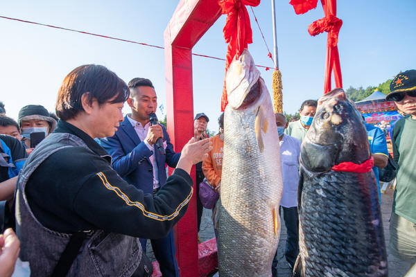 迎中秋，慶團圓！河南這家景區烹製102斤重“魚王湯”，場面震撼