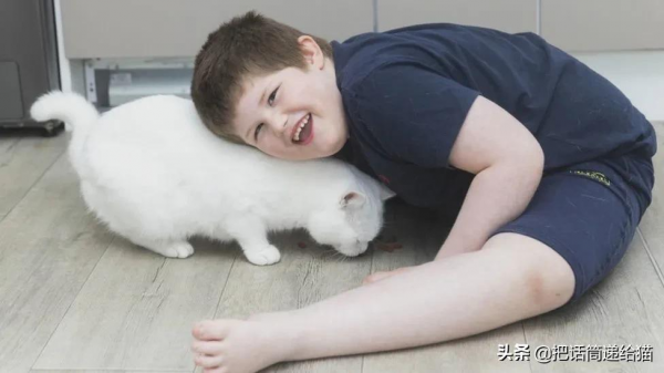 腦癱男孩與他的三腳貓老師:對有些人來說,有貓在就是團圓 腦癱男孩與他的三腳貓老師:對有些人來說,有貓在就是團圓