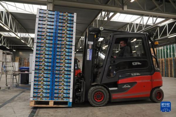 比利時啤梨“熱盼”中國進博會 比利時啤梨“熱盼”中國進博會