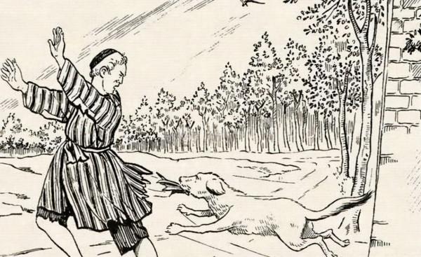 民間故事：落魄書生祖宅祭掃，被一條狗窮追不捨，狗化少女吐人言