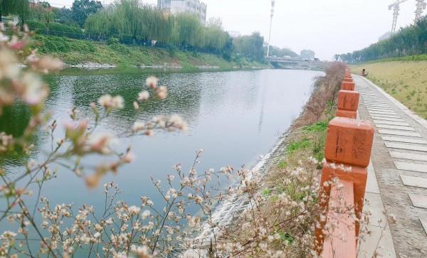 我家附近的風景也很美 我家附近的風景也很美