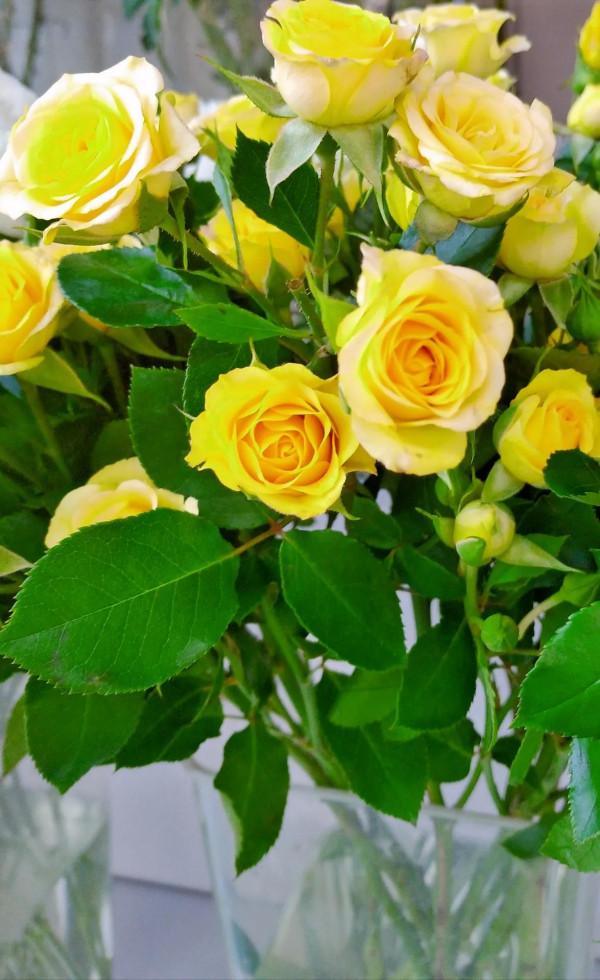 超乎尋常的親族,漠不相干的路人 超乎尋常的親族,漠不相干的路人