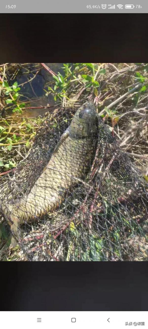 光威水庫垂釣 光威水庫垂釣