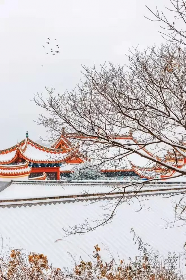 冬至——陰極之至，陽氣始生，日南至，日短之至，日影長之至