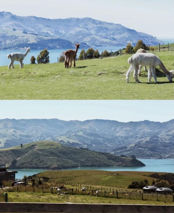 有一天可以出國旅行了,這3個國家一定要去一次 有一天可以出國旅行了,這3個國家一定要去一次