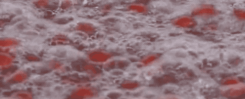 山楂卷是怎麼搓的卷，而山楂片又是怎麼切的小圓片？