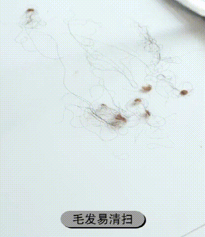 被顏值“誤導”的5種家居用品，看似平平無奇，用過後才知實在