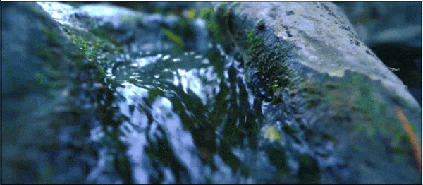 薄薄酒,難醉人,此泉能使魯酒醇。何以解憂,唯有杜康 薄薄酒,難醉人,此泉能使魯酒醇。何以解憂,唯有杜康