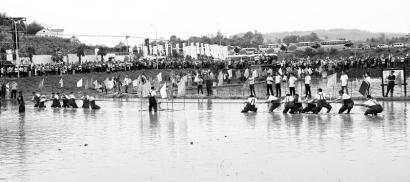 稻田拔河巴適哦 稻田拔河巴適哦