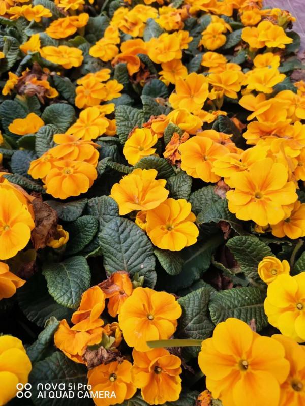 天人合一實踐的信念。跨玄通象，德主心靈